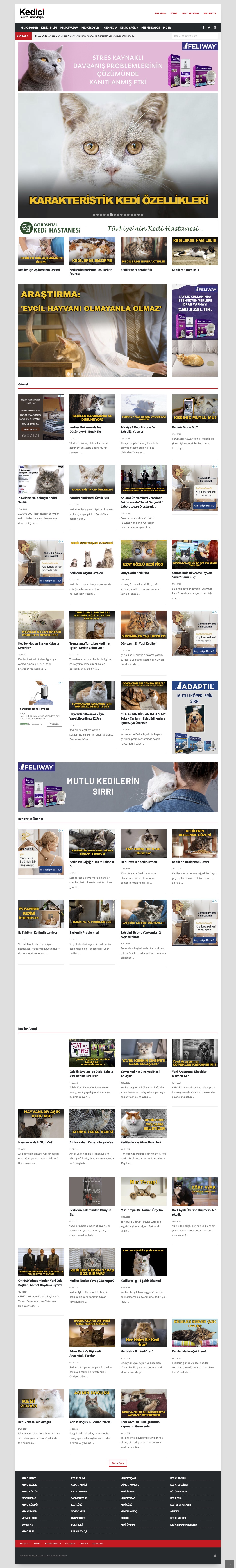 Kedici – Kedi & Kültür Dergisi - Web Sitesi Tasarımı ve İçerik Yönetim Sistemi Kedici – Kedi & Kültür Dergisi - Web Sitesi Tasarımı ve İçerik Yönetim Sistemi